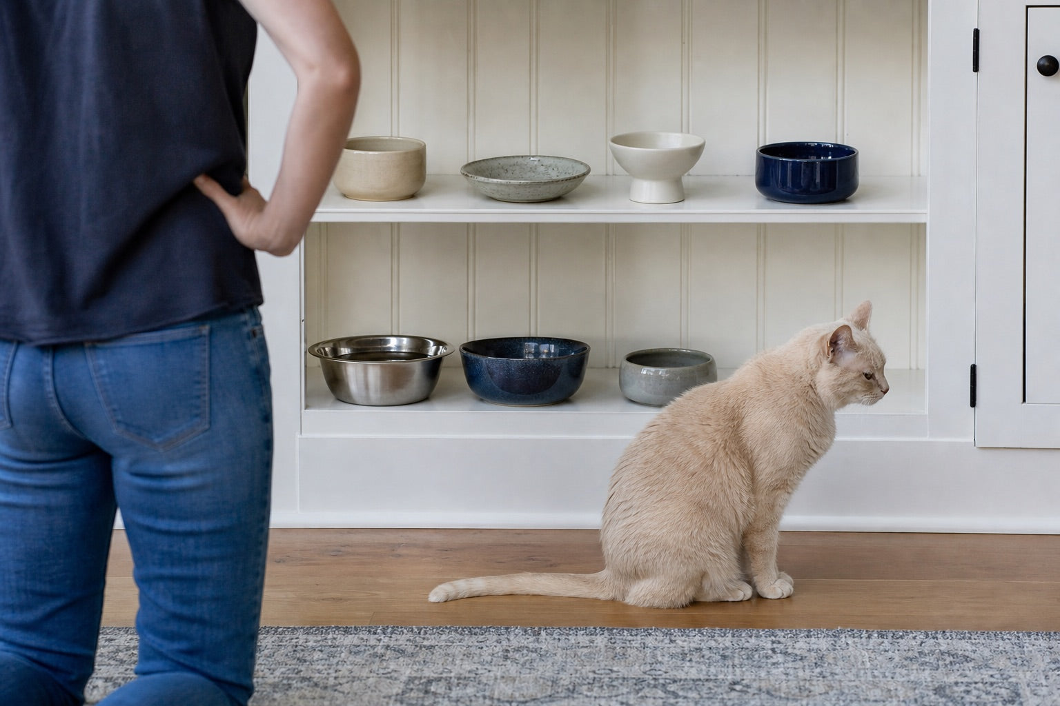 A cat sitting in front of a collection of unused water bowls