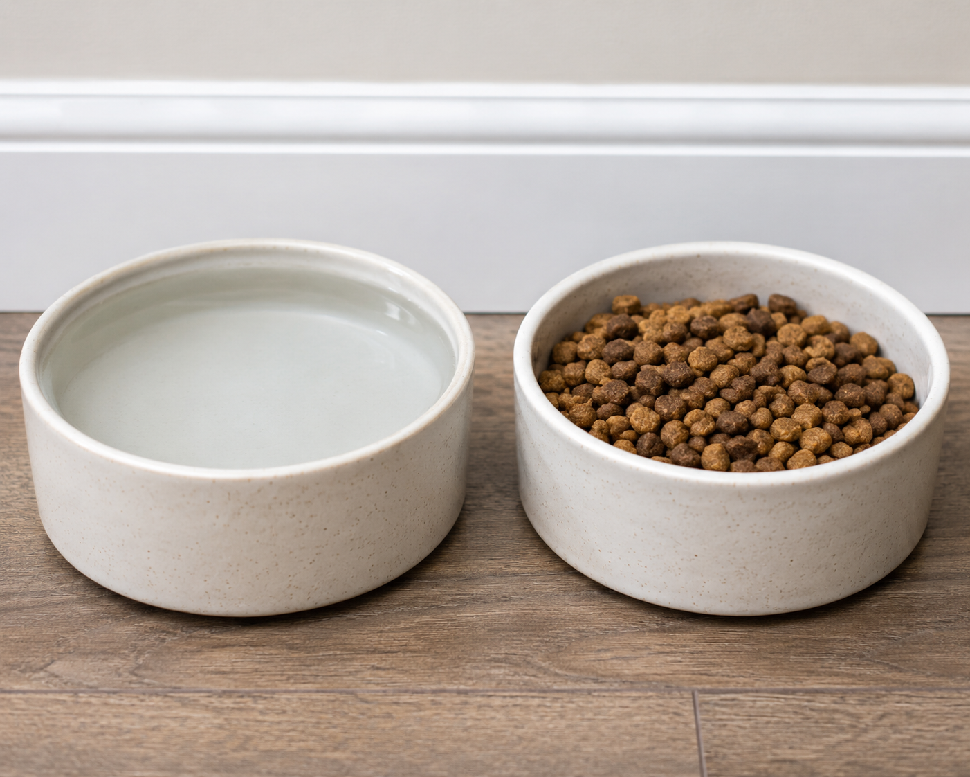 Nearly full water bowl next to a cat food bowl