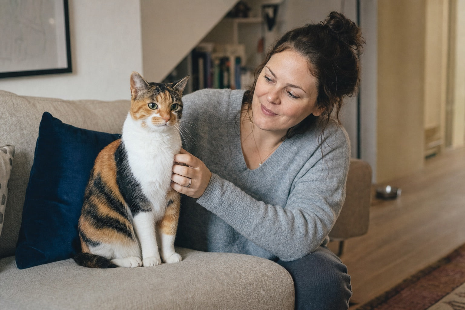 A relaxed owner gently petting her healthy adult calico cat