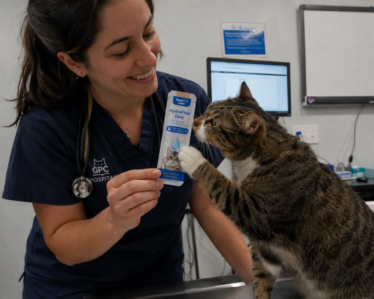 Veterinarian in a clinic offering SuperCat HydraFlow Daily to a cat