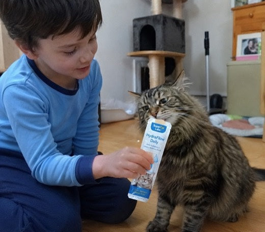 Cat parent holding SuperCat sachet