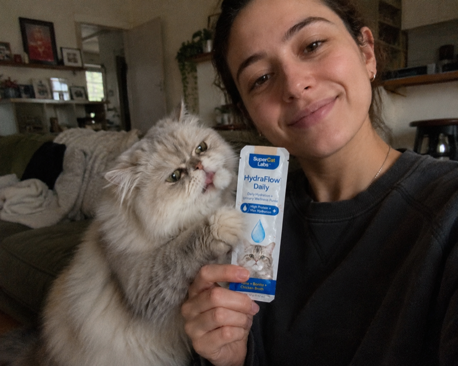 Cat parent holding SuperCat HydraFlow Daily with a cat