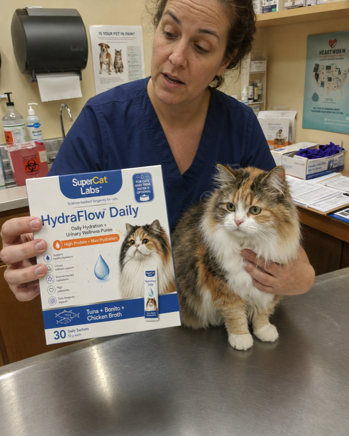 Veterinarian with SuperCat HydraFlow Daily and a cat