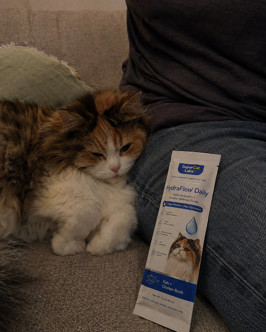 Cat relaxing beside a HydraFlow Daily sachet