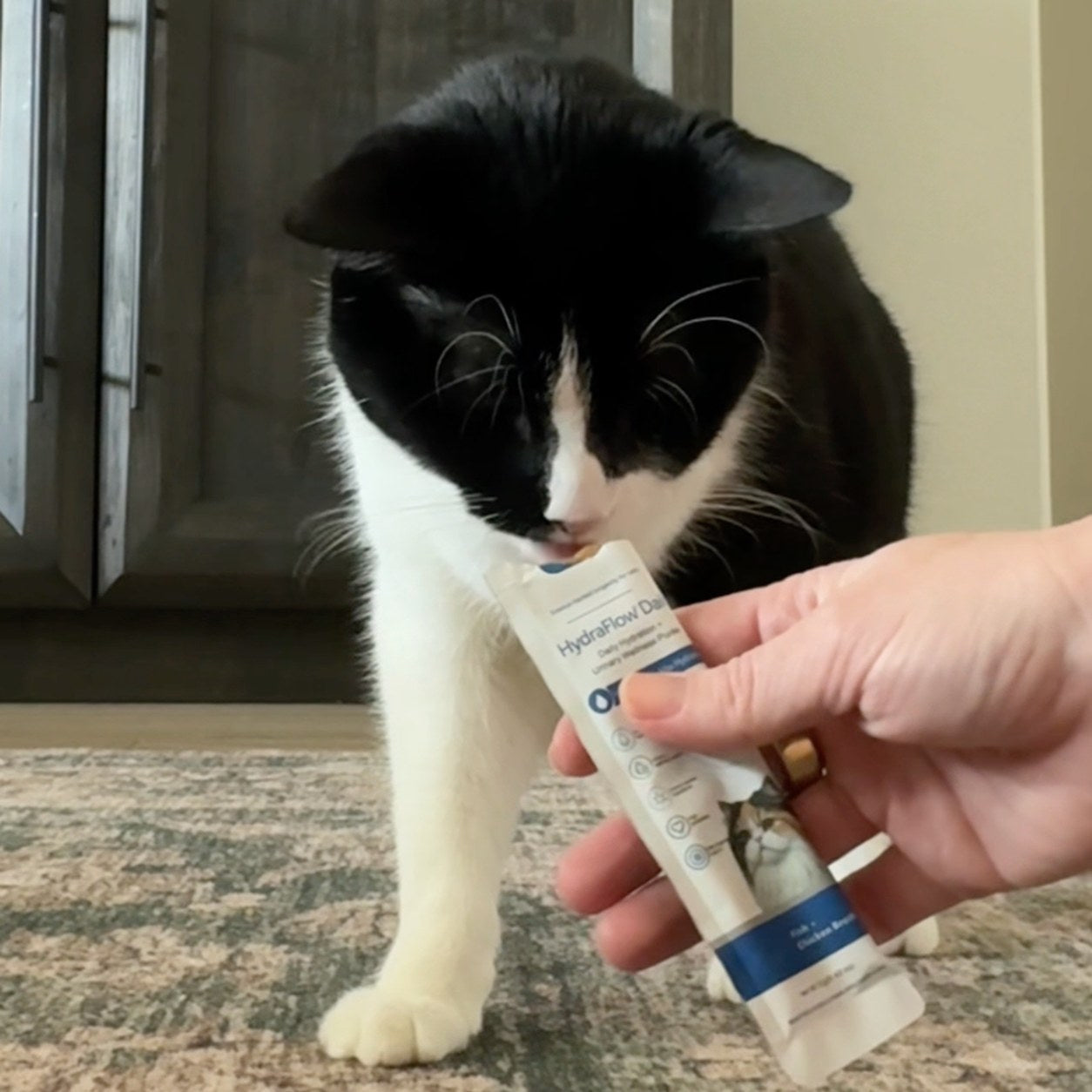 A cat licking a HydraFlow Daily sachet
