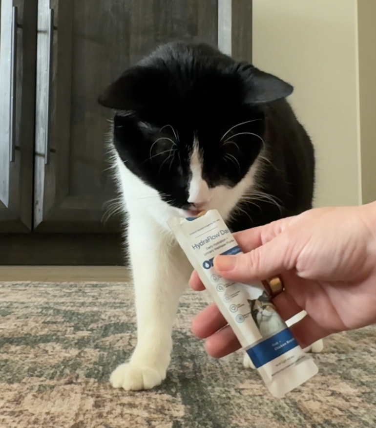 Black-and-white cat licking a HydraFlow Daily sachet